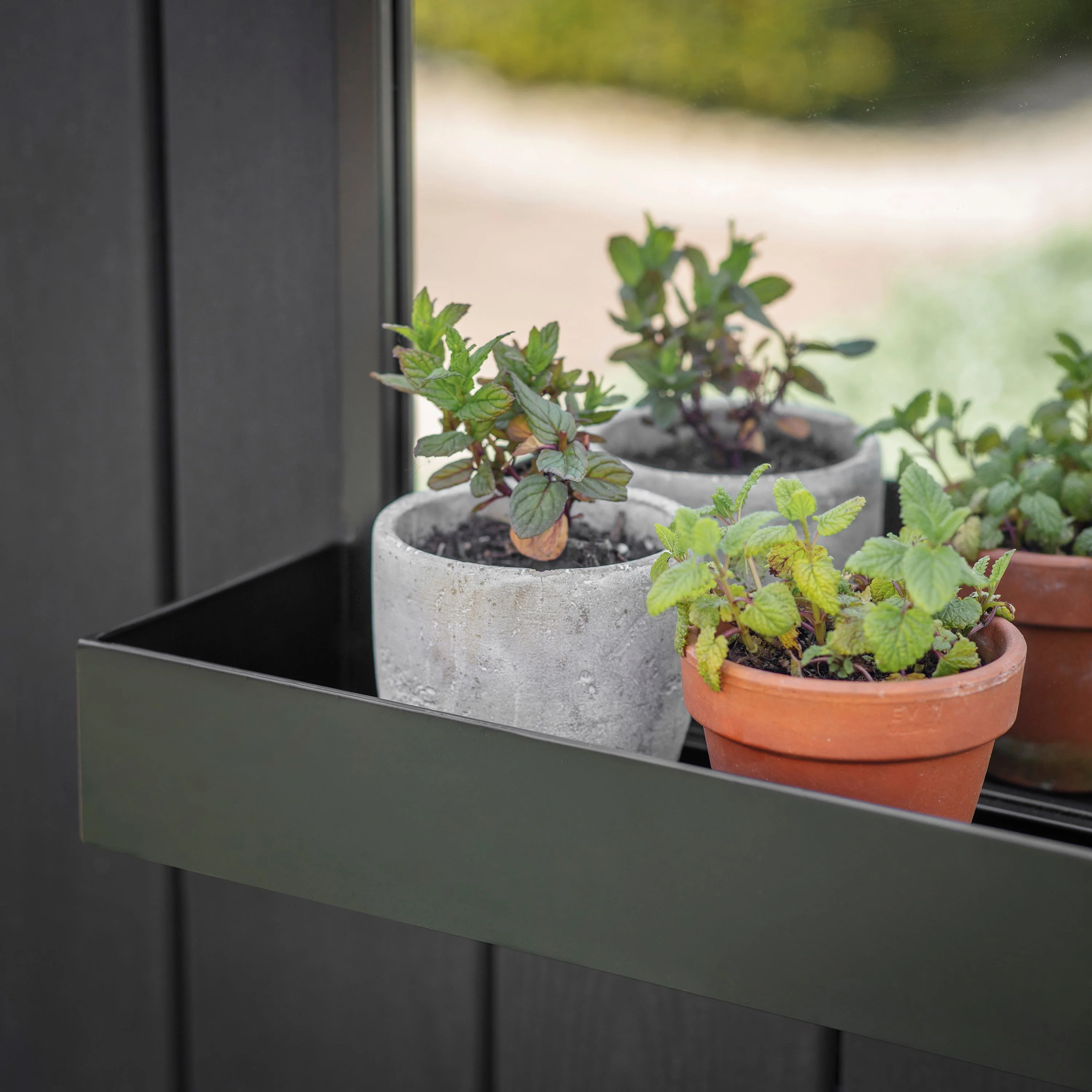 Budworth Indoor/Outdoor Shelf Mirror - Image 3