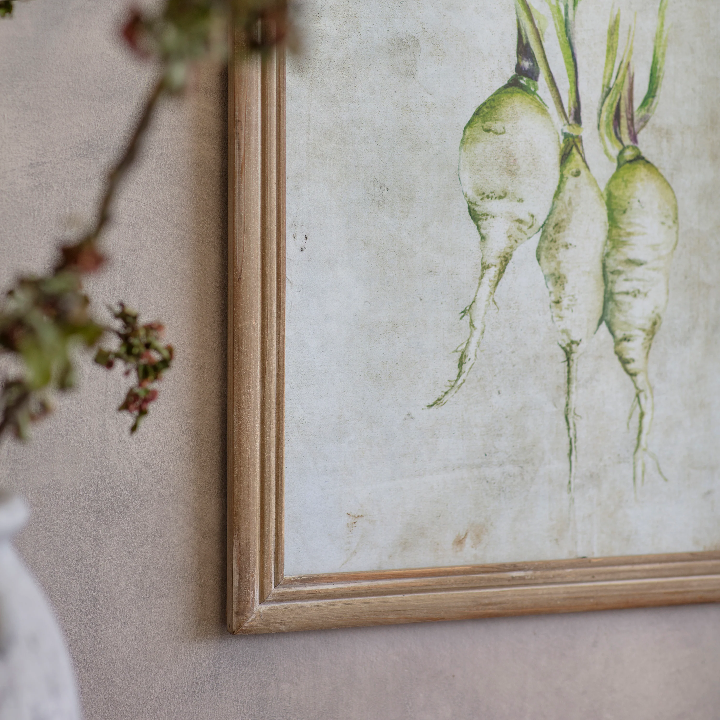 Croston Set of 4 Root Vegetable Framed Prints - Image 3