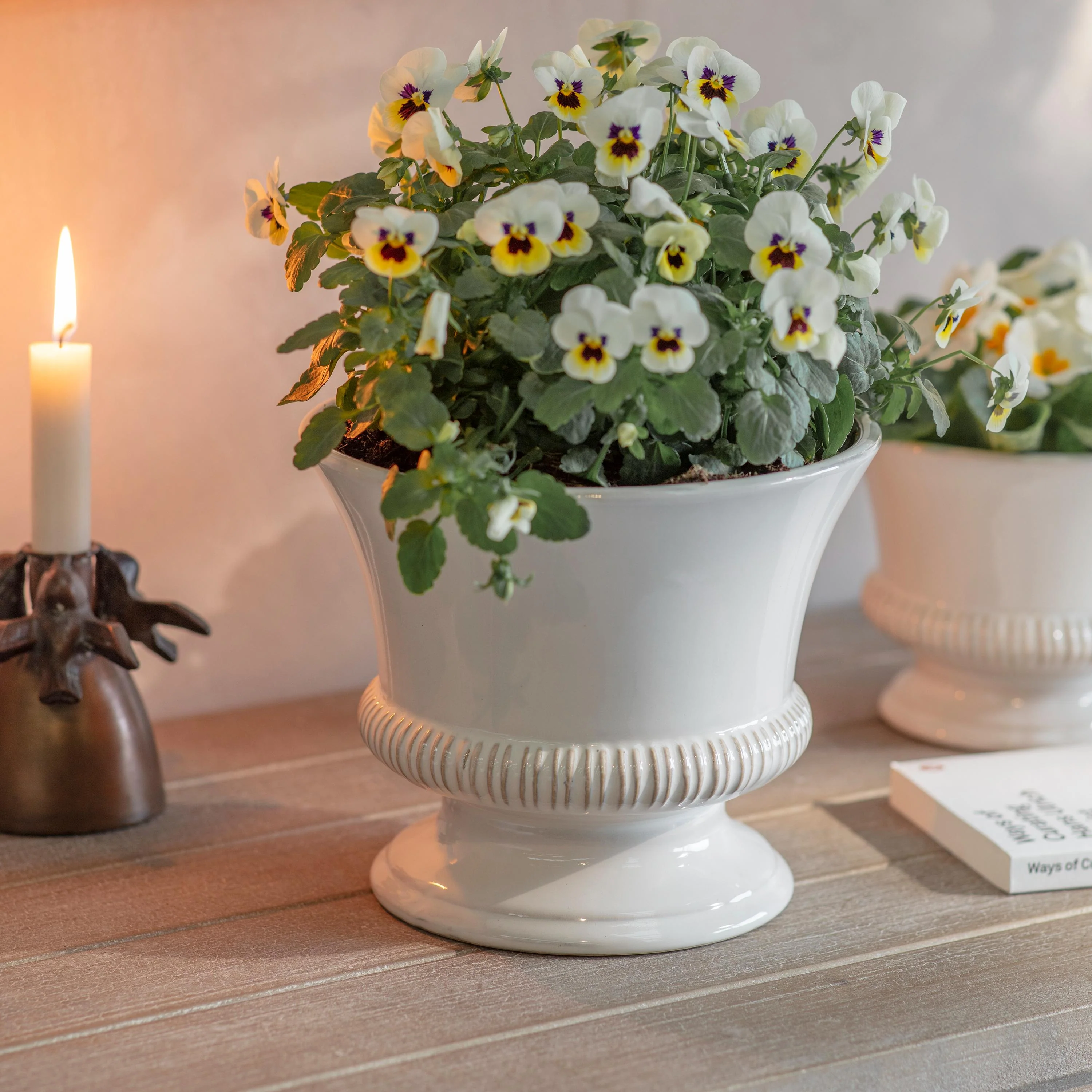 Hinton Planter - Image 3